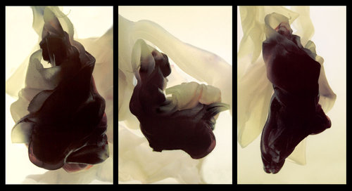 Levitation by 
Arlene Nesbitt
