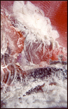 Wave by 
Arlene Nesbitt