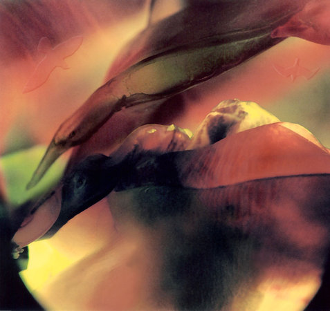 Birdstuff II by 
Arlene Nesbitt