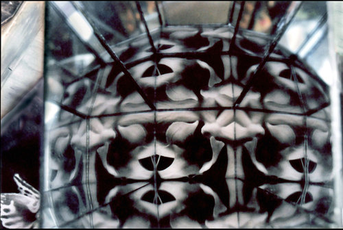 Metathesis by 
Arlene Nesbitt