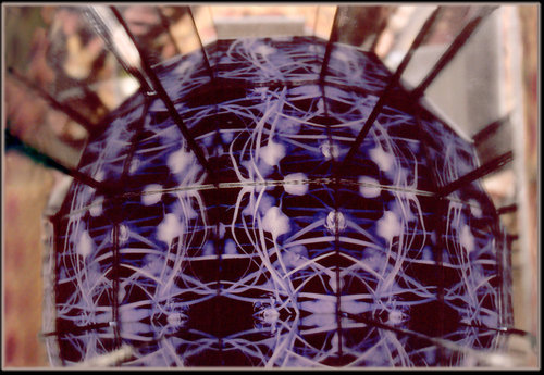 Rectified Works by 
Arlene Nesbitt