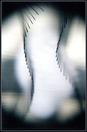 Jacob\'s Ladder II by 
Arlene Nesbitt