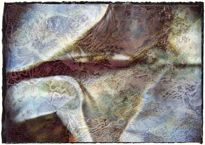 Birdseye by 
Arlene Nesbitt