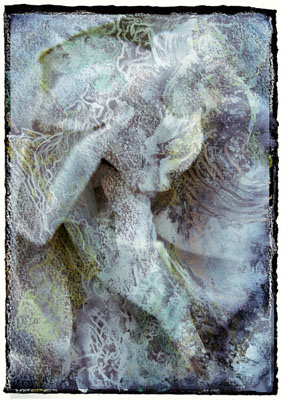 Dancer II by 
Arlene Nesbitt