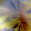 Abstract Photography