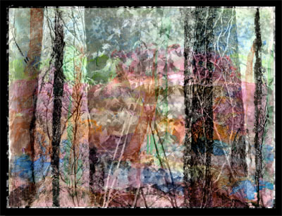 In and Out of Focus by 
Arlene Nesbitt