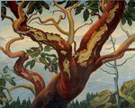 UVic Legacy Art Gallery Inventory