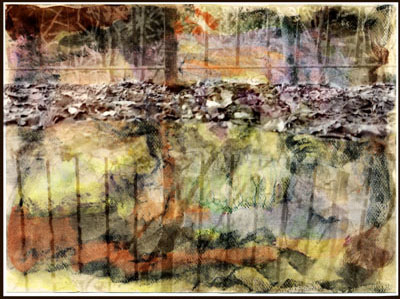 Fence by 
Arlene Nesbitt