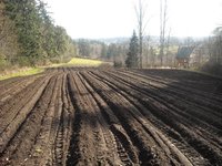 Freshly Planted Potatoes March 15