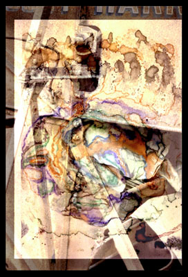 Hybrid 1 by 
Arlene Nesbitt