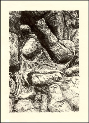 Struggle by 
Arlene Nesbitt