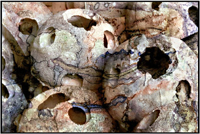 Concrete and Abstract 1 by 
Arlene Nesbitt