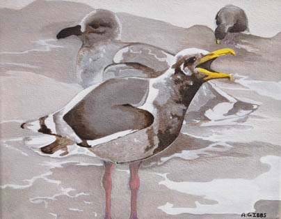 Winter Gull by 
Alexa Gibbs