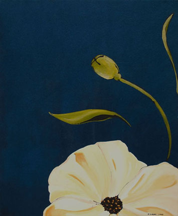 Cream Poppy by 
Alexa Gibbs
