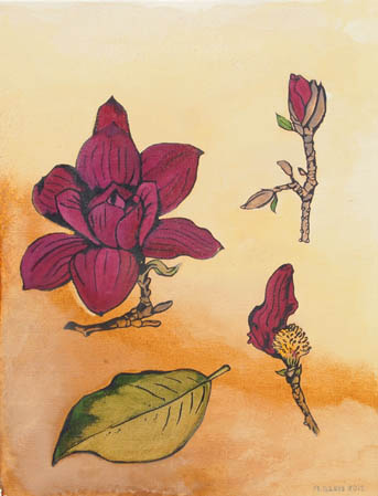 Magnolia by 
Alexa Gibbs
