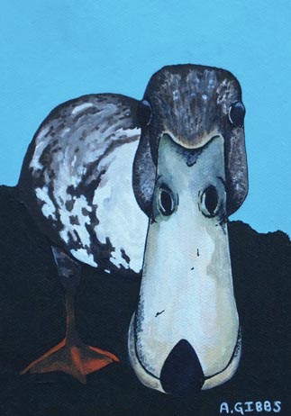 Ducapus by 
Alexa Gibbs