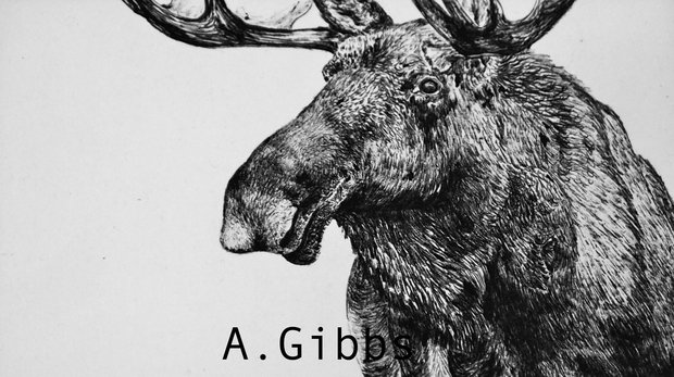 Untitled by 
Alexa Gibbs
