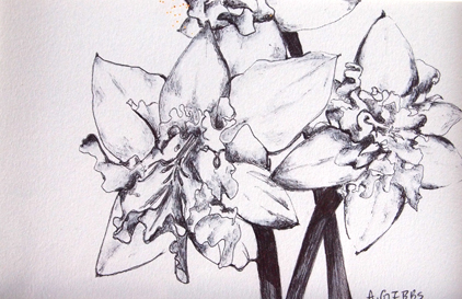Spring by 
Alexa Gibbs