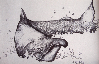 Splash by 
Alexa Gibbs