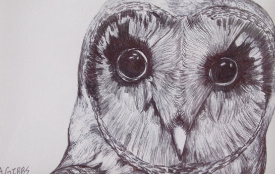 Nocturnal Narcoleptic by 
Alexa Gibbs