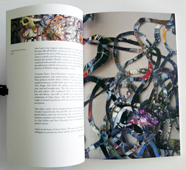 Wendy Welch: Circuitous Routes: Excess/Abundance