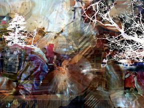 Trees Remembered 3 by 
Arlene Nesbitt