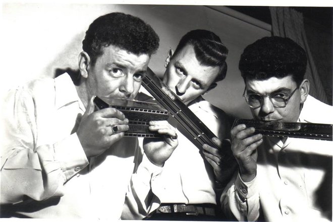 Profile Image: Lorne Elves Trio