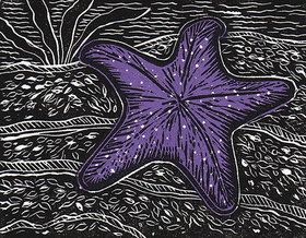 Printmakers Only Group @ The Gallery at the Cowichan Performing Arts Centre Nov 1 2017 - Jun 25th @ The Gallery at the Cowichan Performing Arts Centre