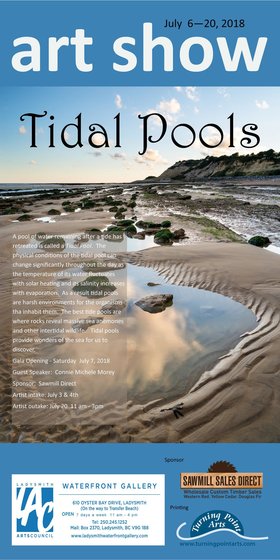 Art Show: Tidal Pools @ Ladysmith Waterfront Gallery Jul 6 2018 - Jun 26th @ Ladysmith Waterfront Gallery