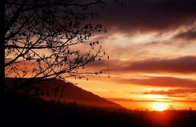Photography: Tammy Bernier @ Imagine That! Artisans' Designs Aug 3 2018 - Jun 26th @ Imagine That! Artisans' Designs