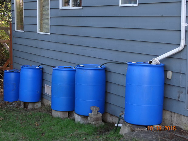 Water Conservation by 
Lindsay Beal