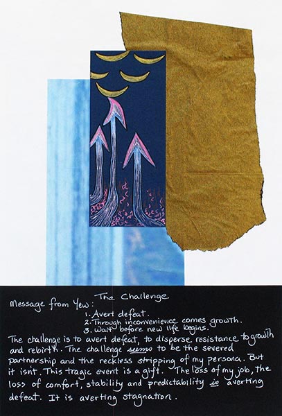 The Challenge by 
Lindsay Beal