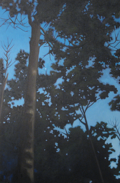 Forest Study #15 \