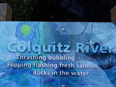 Saanich elementary students draw attention to local ecosystem with art