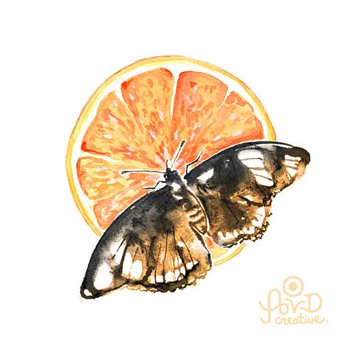 Untitled by 
AVD Creative
