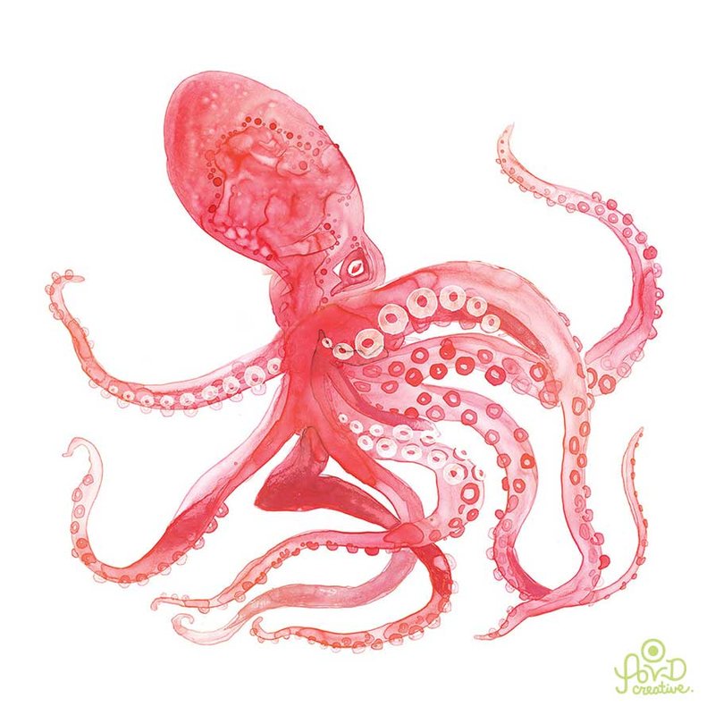 CEPHALOPOD (pink) by 
AVD Creative