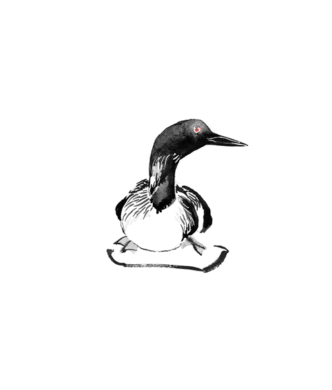 LOON by 
AVD Creative