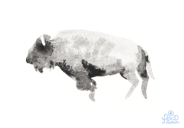 Standing Rock Bison by 
AVD Creative