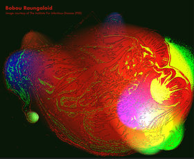 The Bobou Raungaloid parasite: Dave Biddle - May 3rd @ The Ministry of Casual Living