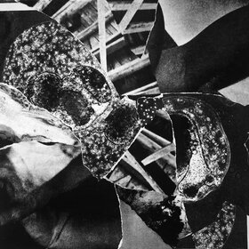 Forced structure I & II: Paul van Trigt - May 15th @ Ministry of Casual Living Window Gallery