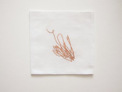 wails of becoming, March 11, 2018 |7:30pm by 
Oona McClure