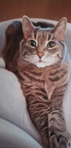 Link the Cat by 
James Nye