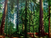 Photo - 

Cathedral Grove 
