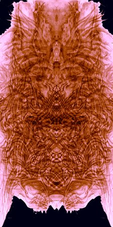 Profile Image: w. henwood
 "Dragone"