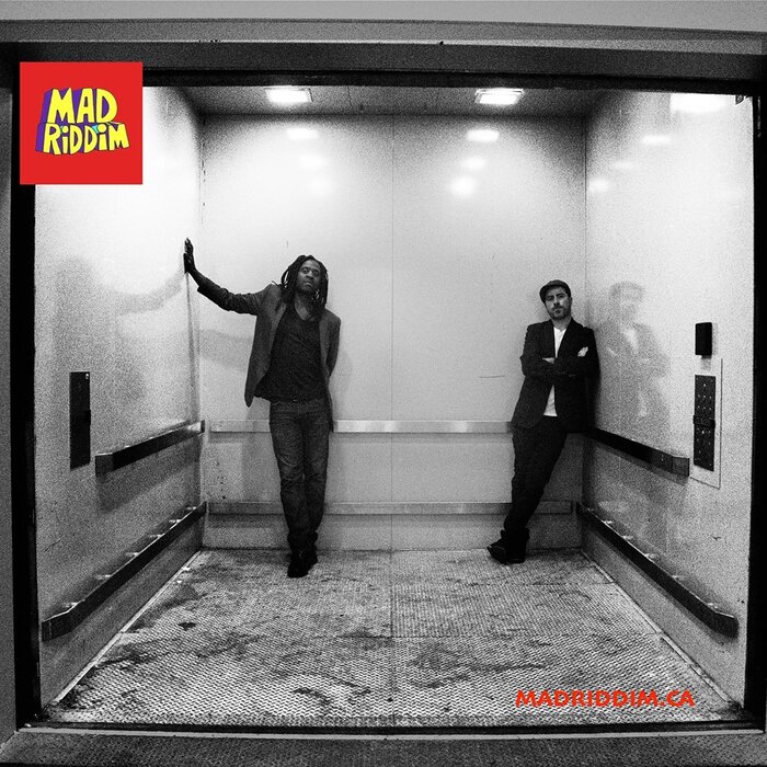 Profile Image: Mad Riddim