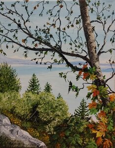 View From the Malahat by 
Laurel Rossnagel