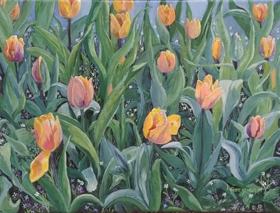 Tulipville by 
Laurel Rossnagel