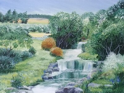 Waterfalls and Reflections by 
Laurel Rossnagel