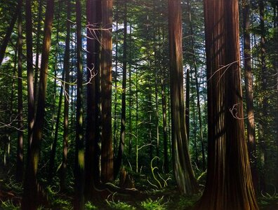 Florencia Grove by 
Logan Ford