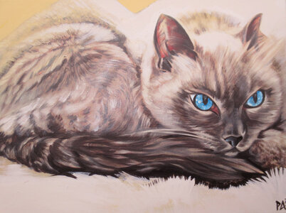 Karla's Kat by 
Peter Allen